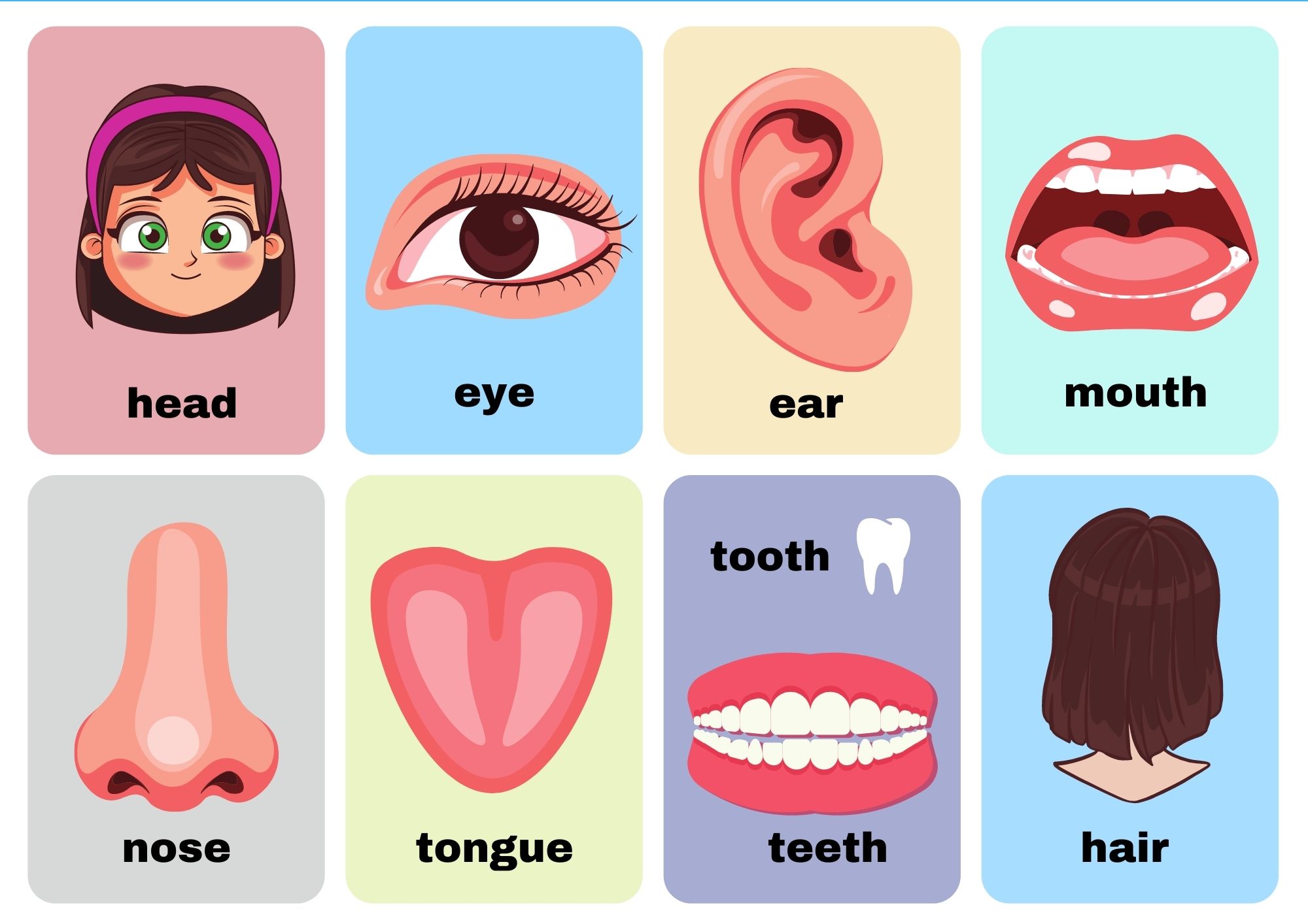 Body Parts Flashcards No Words View Online or PDF Download